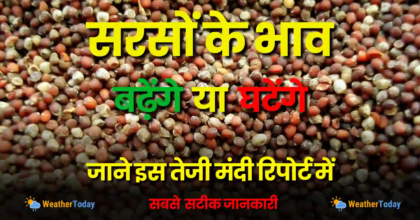 Sarso Ka Bhav Sarso Teji Mandi Report